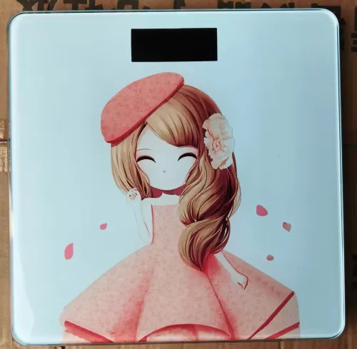 人体健康秤